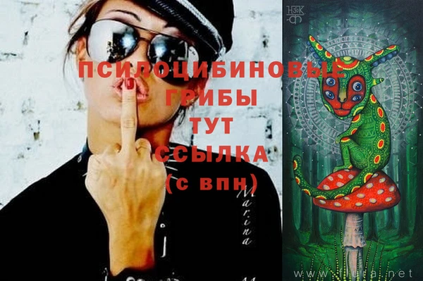 PSILOCYBIN Баксан